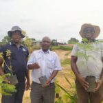 Nyaradzo donate 300 trees to MCC