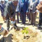 City of Masvingo joins the nation in tree planting commemorations
