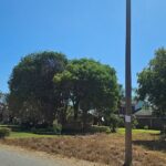 Council installs 60 solar - powered streetlights in Rhodhene and Eastvale as a pilot project