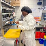 Food Safety Blitz in Masvingo City