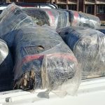 Council confiscates and destroys smuggled meat