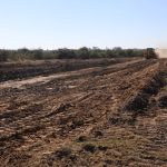Rujeko D Housing Scheme servicing of stands underway