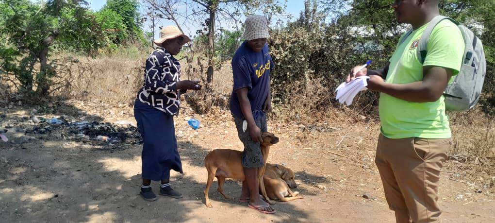rabies